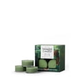 thumbnail image 2 of Yankee Candle Scented Tea Light Candles, Balsam & Cedar, 0.44 OZ, 12 Count, Pack of 2 (24 Candles Total), 2 of 5