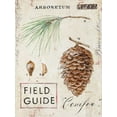 thumbnail image 2 of Staehling, Angela 11x14 Gold Ornate Wood Framed with Double Matting Museum Art Print Titled - Natures Pinecone, 2 of 4