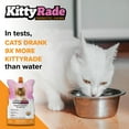 thumbnail image 5 of KittyRade Prebiotic Drink for Cats/Delicious Salmon/Cats 6 Weeks and Older/Digestion & Immune Support/Taurine Essential for Eye and Heart Health/3 - 8.4 fl oz Pouches, 5 of 9