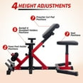 thumbnail image 6 of 2-In-1 Roman Chair & Preacher for Arms,Ab,Back,Glute & Leg Extension Adjustable Height Curl Bench for Home Gym, 6 of 8