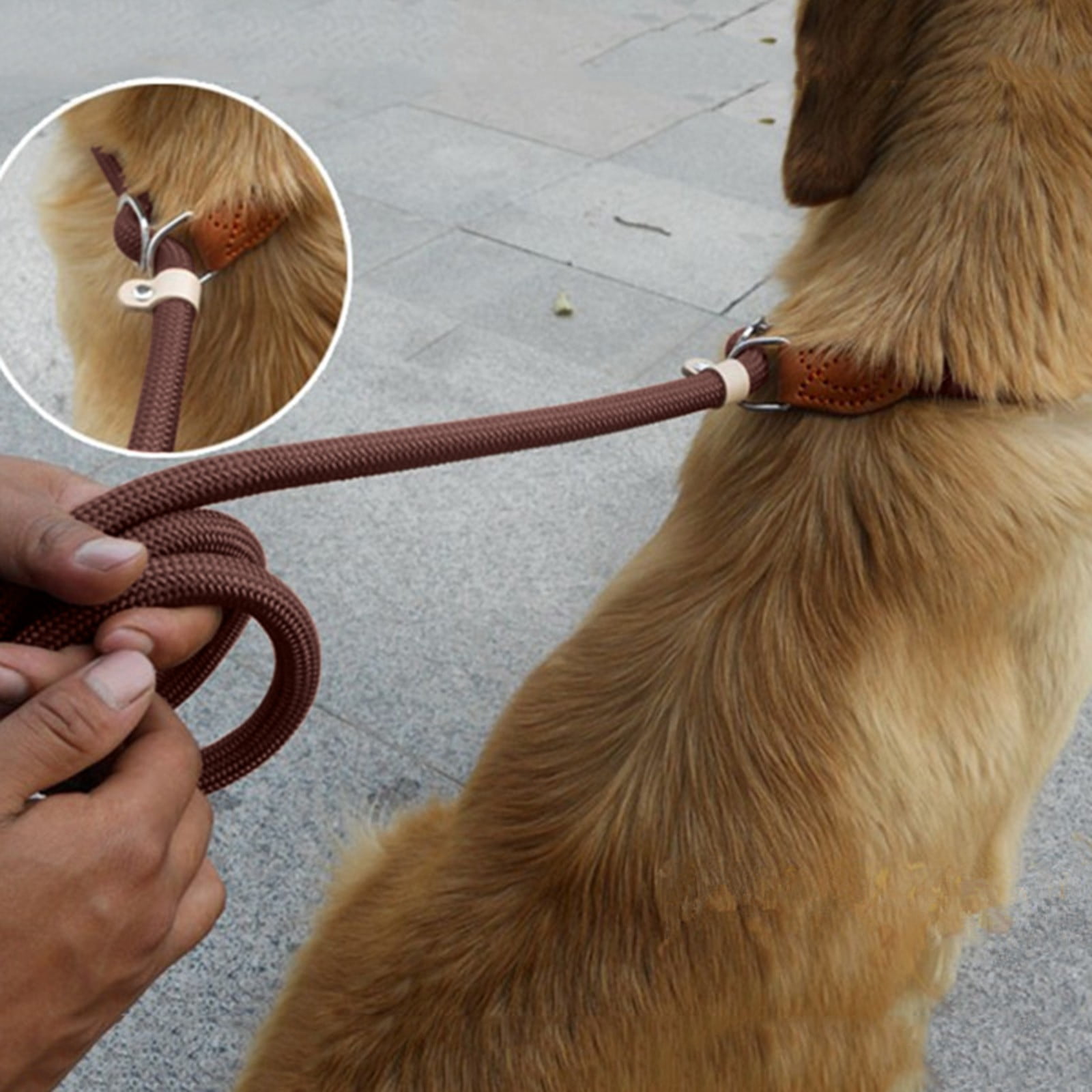 Oliegs Heated Blanket Flush P Chain Leash Nylon Sewn Leather Pet Dog Leash Extended Thick Training Dog Leash Leash P Rope Chocolate