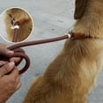 2 Way Dog Leash 40 Foot Dog Leash Dog Cord Dog Leashes for Puppies Neon