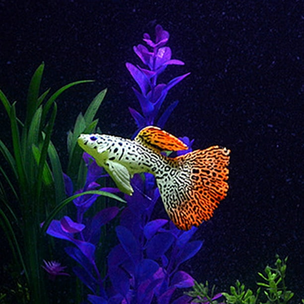Ccdes 4PCS Aquarium Fish Tank Lumineux Silicone Artificielle Faux