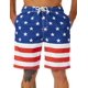 thumbnail image 1 of Bermudas de baño KAILUA SURF 9" de secado rápido con bandera americana, 1 of 6