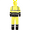 Yellow/Black, variant on Hi-Vis Safety Rain Set, ANSI Class 3/E (Yellow/Black, 2XL)