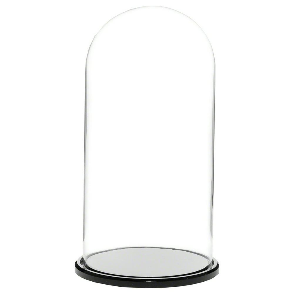 Plymor 5.5" x 11" Glass Display Dome Cloche (Black Acrylic Base)