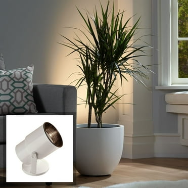 Pro Track Small Uplighting Indoor Accent Spot-Light Plug-In Directional Floor Plant Home Decorative Art Gloss White Finish 8" High