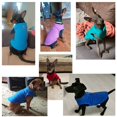 thumbnail image 2 of Ropa de invierno de lana para perros, ropa para cachorros, abrigo para bulldog francés, disfraces para carlino, chaqueta para perros pequeños, chaleco para chihuahua y gatitos., 2 of 6