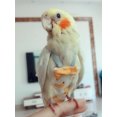 thumbnail image 4 of Pañal para loros con pajarita, lindo traje de vuelo para pájaros, color floral, frutas y colores, para cacatúas, palomas, mascotas pequeñas, medianas y grandes, lavable, 4 of 5