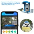 Smart Bird Feeder, App Notification, AI Recognition and Automatic Bird