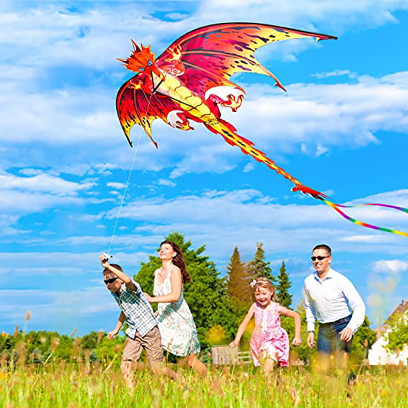 Dragon Kite 3D Pterosaur Single Line With Tail Outdoor Sports Adults Kids Toy he 
