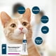 thumbnail image 4 of Título optimizado: Ungüento para ojos de perros y gatos para la corneítis, 4 of 5