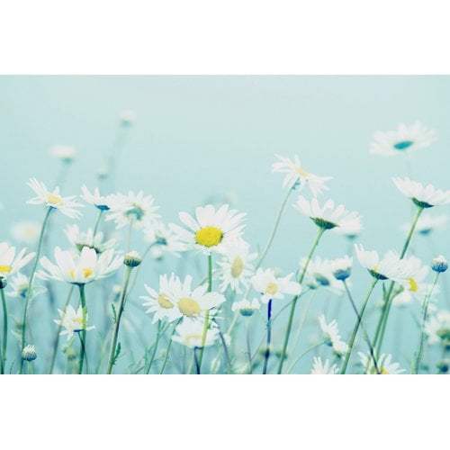 Marmont Hill 'Dancing Daisies' by Robin Delean Painting Print on Wrapped Canvas