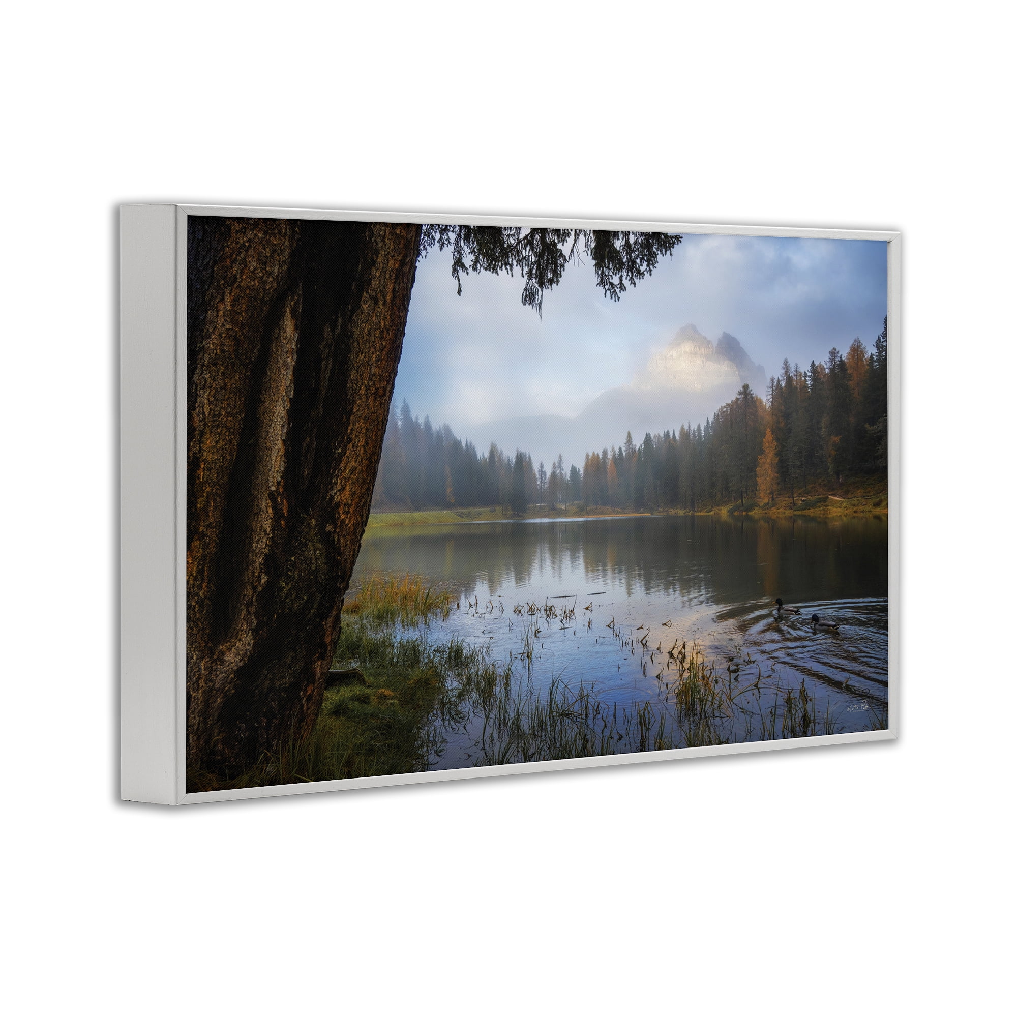 Stupell Industries Autumn Forest Reflections White Framed Giclee Art, design by Martin Podt