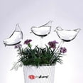 thumbnail image 2 of 5PCS Plant Watering Devices Globes Bird Shaped Premium Plant Waterer Self Watering Spike, 2 of 7