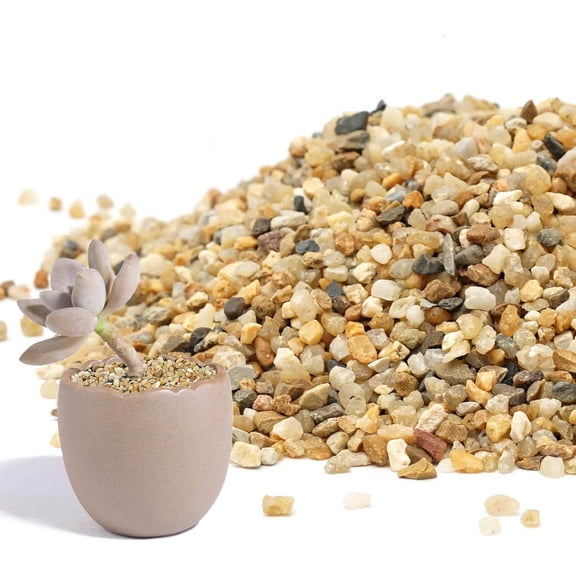 Coarse Sand Stone for Succulents and Cactus Bonsai DIY Projects, Decorative Gravel for Plants and Vases Fillers, Terrarium, Fairy Gardening, Natural Stone Top Dressing for Potted Plants