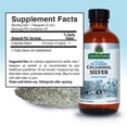 thumbnail image 3 of Suplemento líquido de plata coloidal Nature's Answer, 300 ml, 10 PPM, 3 of 7