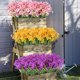 thumbnail image 4 of 1 paquete de 18 cabezas de flores artificiales violetas para colgar en la pared, ramo de flores falsas para decoración del hogar y el jardín al aire libre, bricolaje, fiesta de bodas, 4 of 5