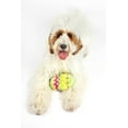 thumbnail image 4 of Midlee Plush Easter Egg Dog Toy with Squeaker (Green)-Large, 4 of 7