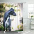 thumbnail image 1 of Cortina de Ducha ABPHQTO Retrato de Perro Galgo Negro 160x180 cm, 1 of 1