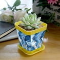 thumbnail image 5 of HemaKayy Decorative Planter Pot Set - Perfect for Small Plants - Colorful Design With Drainage Hole - Ideal for Home and Garden Decor - Set of 8 - Unique Marble Texture, 5 of 6