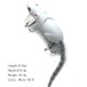 thumbnail image 5 of Señuelo Ratón Articulado Simulación Cebo Rata Artificial Pesca () Blanco, 5 of 8