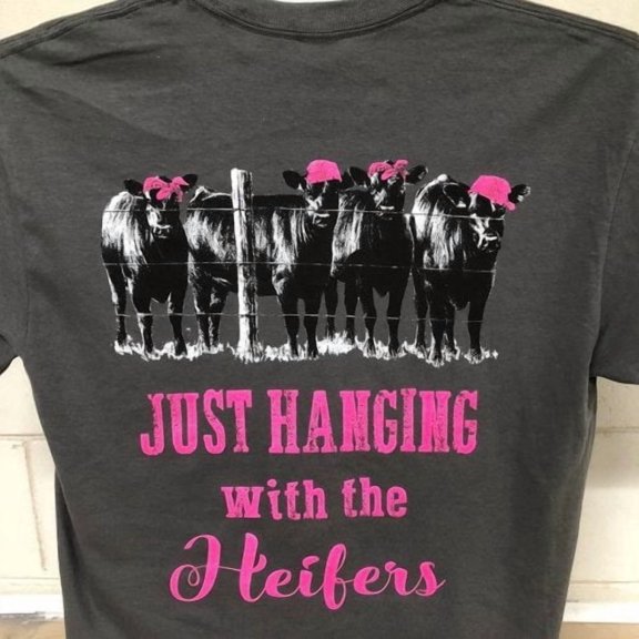 Country Life Southern Attitude Hanging With My Heifers T-Shirt