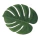 thumbnail image 1 of FENGGUIQU 12Ud Hojas Tropicales Artificiales Con Aspecto Natural Para Decorar Eventos De Y, 1 of 7