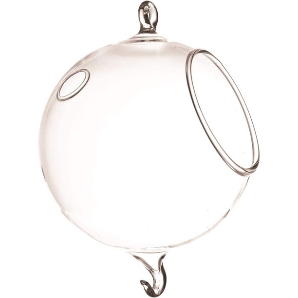 5 inch Double Hook Hanging Terrarium