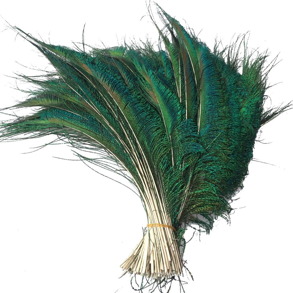 Sowder Natural Peacock Sword Feathers 1015 Inches for Wedding Home ...