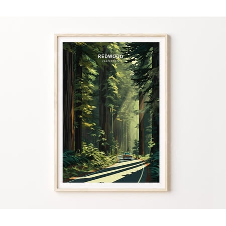 Redwood California Scenic Forest Drive Nature Wall Art Print, Unframed Paper Poster 11x14in