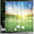 thumbnail image 4 of Ambesonne Spring Shower Curtain, Dandelion Flower Field, 69"Wx70"L, Lime Green Blue, 4 of 5