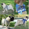 thumbnail image 4 of (Gray-XL)Cat Harness, Cat Harness Escape Proof, 4 of 5