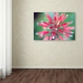 thumbnail image 3 of Trademark Fine Art 'Flower Impression' Canvas Art by Patty Tuggle, 3 of 3
