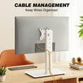 thumbnail image 5 of RTVR VESA Monitor Stand Mount for 13 to 32 inch Screens, Desk TV Stand Holder, White, 5 of 8