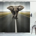 thumbnail image 1 of Ambesonne Animal Shower Curtain, Wild Animal on Highway, 69"Wx84"L, Black Cocoa Grey, 1 of 3