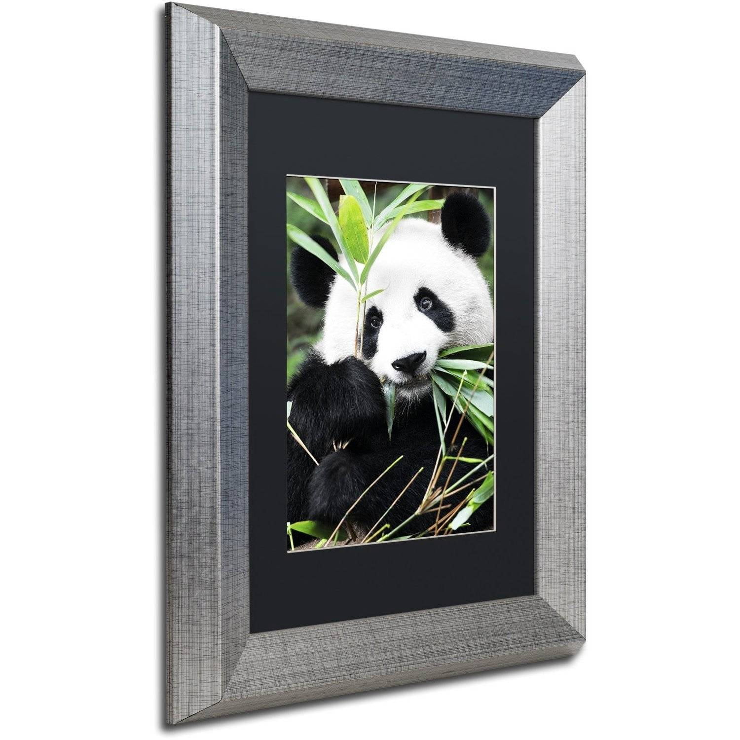 Trademark Fine Art "Giant Panda I" Canvas Art by Philippe Hugonnard, Black Matte, Silver Frame