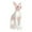 White, variant on 2025 & CISIL Sphynx Resin Hairless Cat Figurine, Hairless Cat Model, Statue For Home Decoration