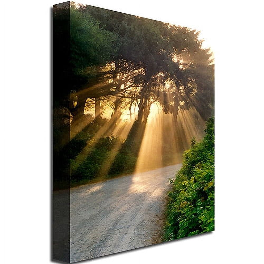 Trademark Fine Art "Sunlight Through Trees" Canvas Art by Michelle Calkins
