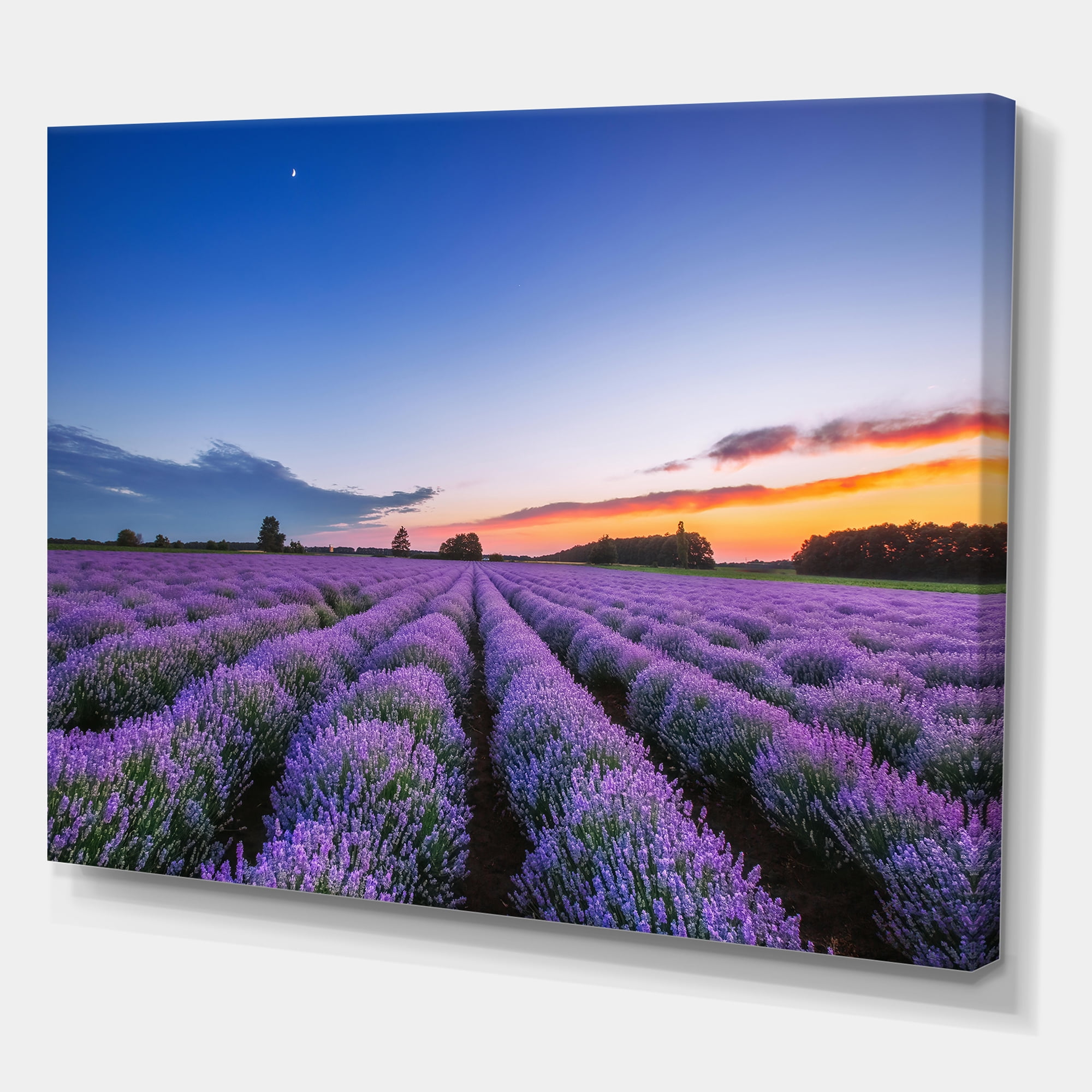 Dramatic Clouds and Sunrise Over Lavender Field I 32 in x 16 in Photography Canvas Art Print, by Designart