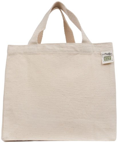 Recyclable Kraft Paper Wine Gift PTP BAGS Natural 5.75 x 3.25 x 13 Tote Bags Pack of 100 Bags