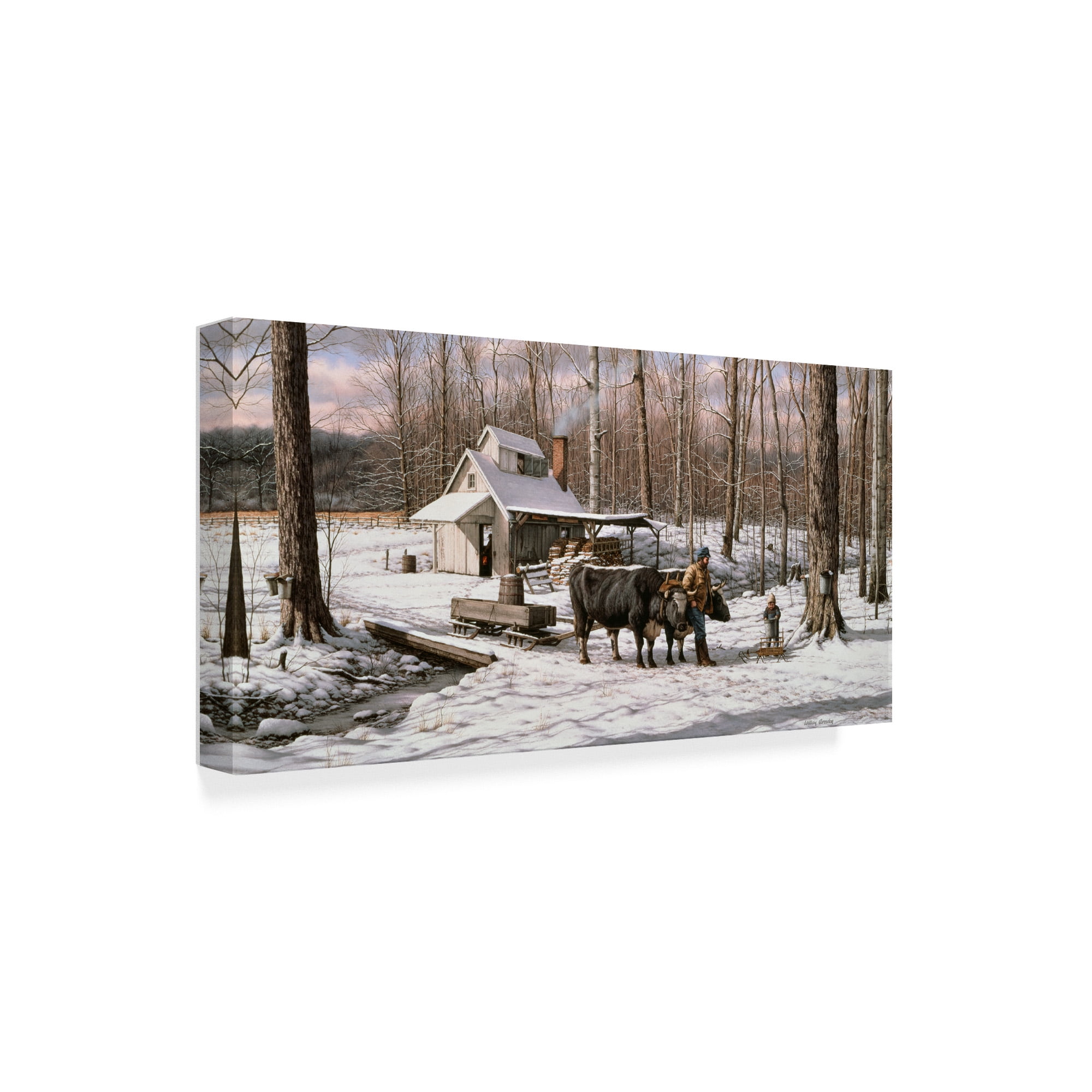 Trademark Fine Art 'Sugar Shack' Canvas Art by William Breedon