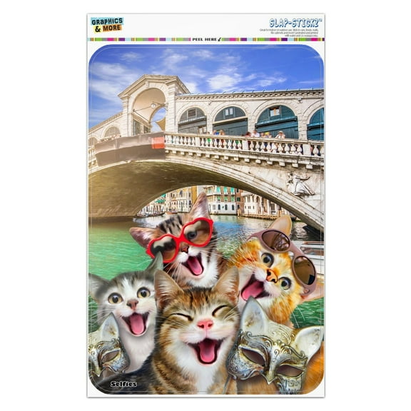 Venice Italy Cats Selfie Home Business Office Sign