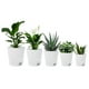 thumbnail image 1 of 5 Pack 5 Inch Self Watering Pots for Indoor Plants, Flower Pots Planter with Drainage Holes and Wick Rope White, 1 of 5