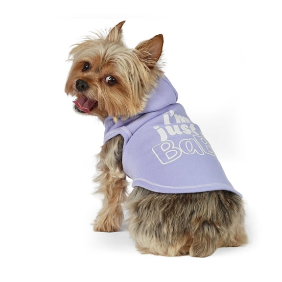 Vibrant Life Easter I'm Just a Baby Hoodie for Dogs and Cats, Blue, XS