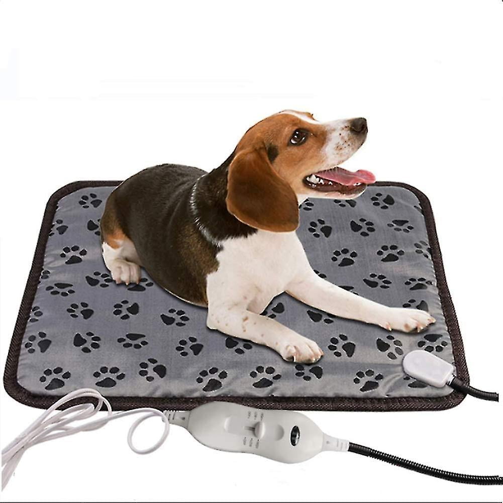 Dogs and electric blankets deals