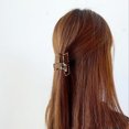 thumbnail image 3 of Pince à Cheveux Creuse Tenue Forte Pince à Cheveux Vintage Léopard, 3 of 10
