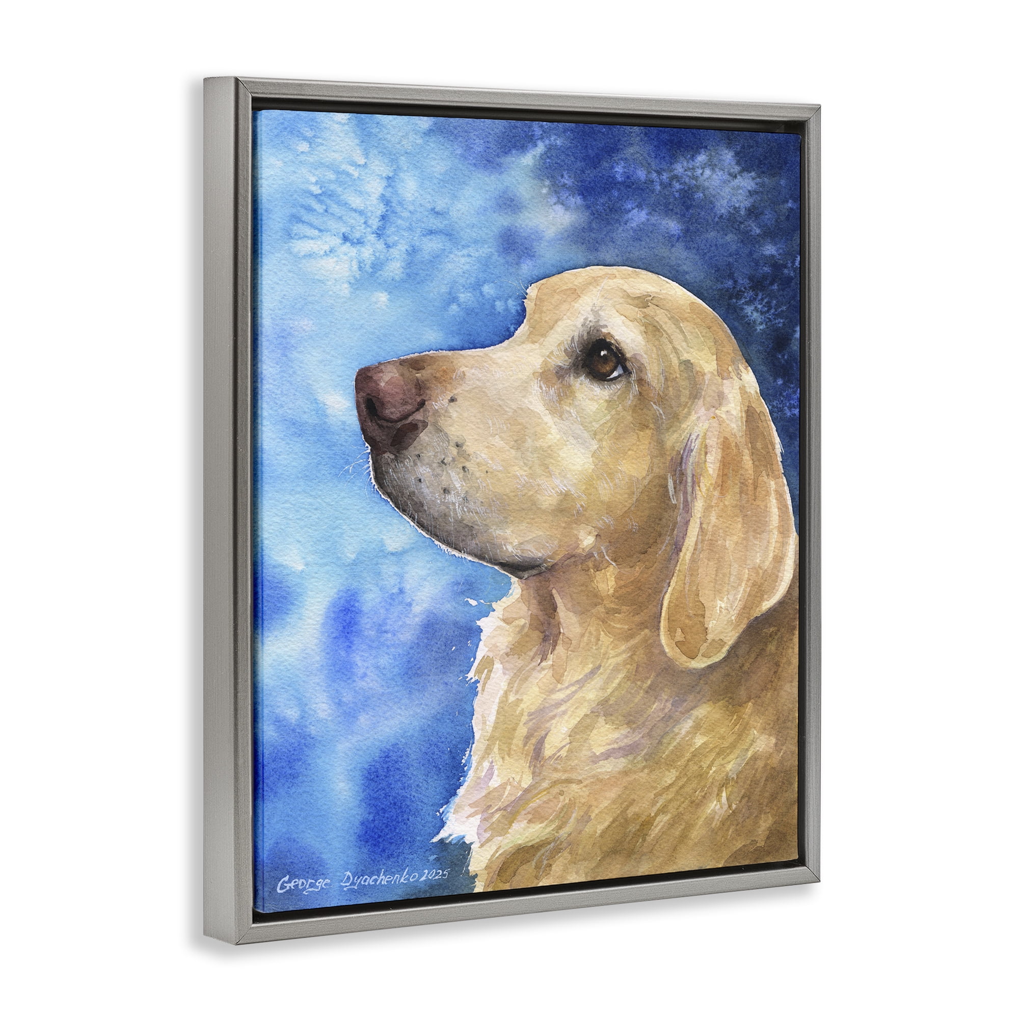 Stupell Industries Golden Retriever Portrait on Azure Gray Framed Floater Canvas Wall Art, design by George Dyachenko