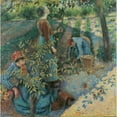 thumbnail image 2 of Camille Pissarro 20x20 Gold Ornate Framed and Double Matted Museum Art Print Titled - Apple Picking, 2 of 4