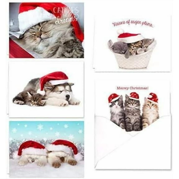 Christmas Cats Holiday Card Pack / 25 Seasonal Kitten Greeting Cards With Envelopes / 5 Sleeping Santa Animal Designs And Inside Verses / 4 5/8" x 6 1/4" Winter Note Cards